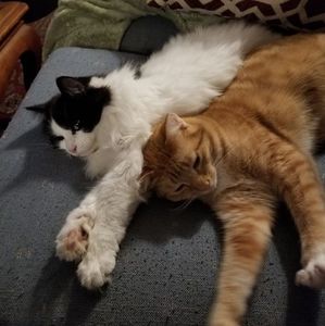 Meet your Posher, Marcia